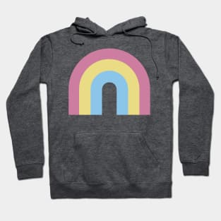 Pansexual Flag Rainbow Design Hoodie